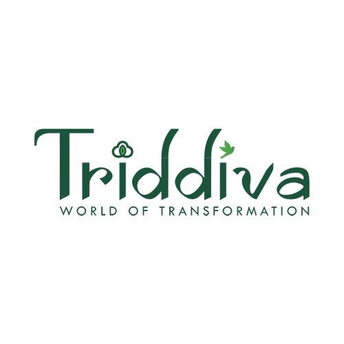 Triddiva